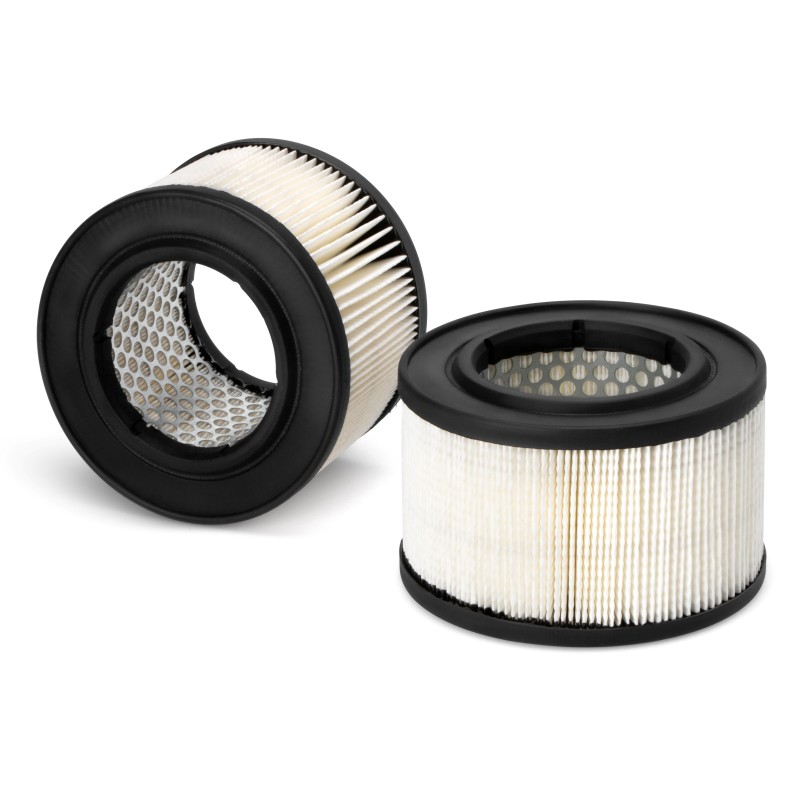 AF2548100 Luft Filter