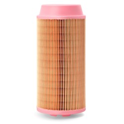 AF2638700 Luft Filter